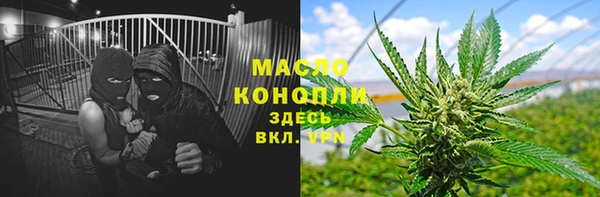 индика Белокуриха