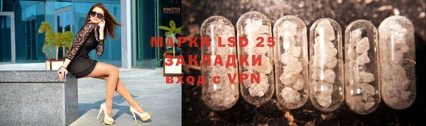 индика Белокуриха