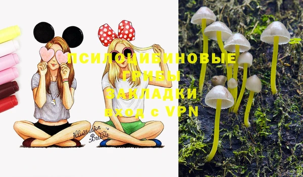 индика Белокуриха