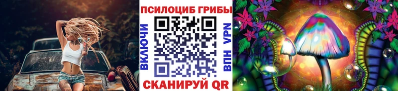 купить   Нерчинск  blacksprut онион  дарк нет клад  Псилоцибиновые грибы мицелий 